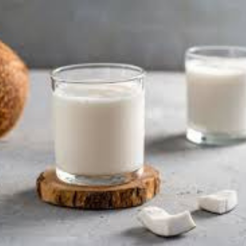 Hindistan Cevizi Sütü Large